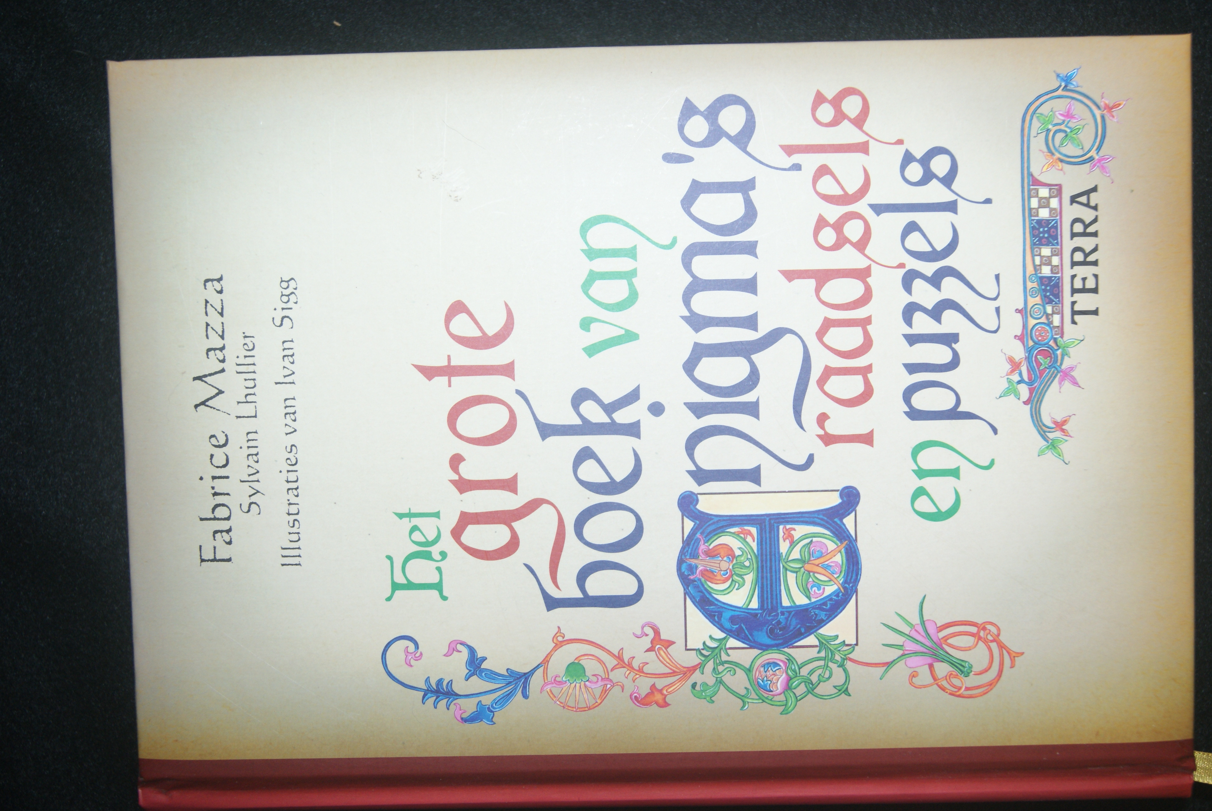 Het grote boek van enigma's raadsels en puzzels