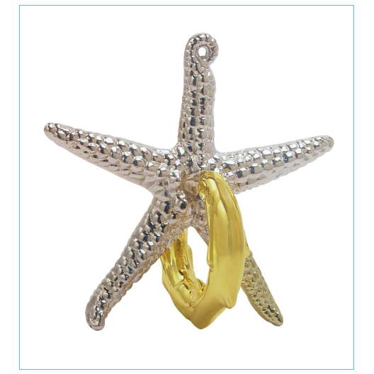 Cast Starfish