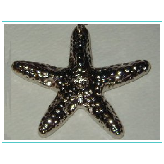 Cast Starfish