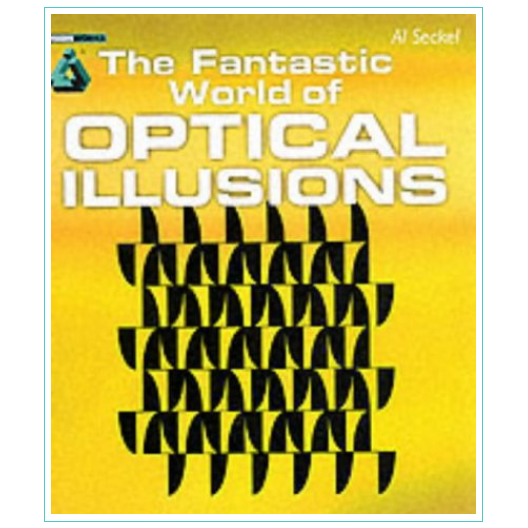 The fantastic world of optical illusions