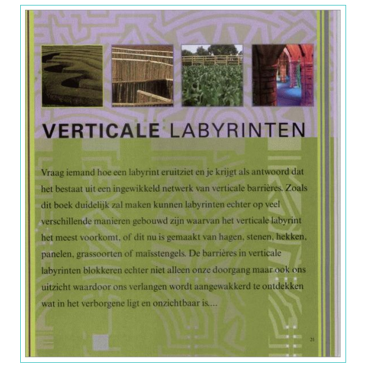 Het labyrinten boek