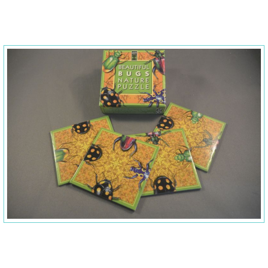 Beautiful bugs nature puzzle