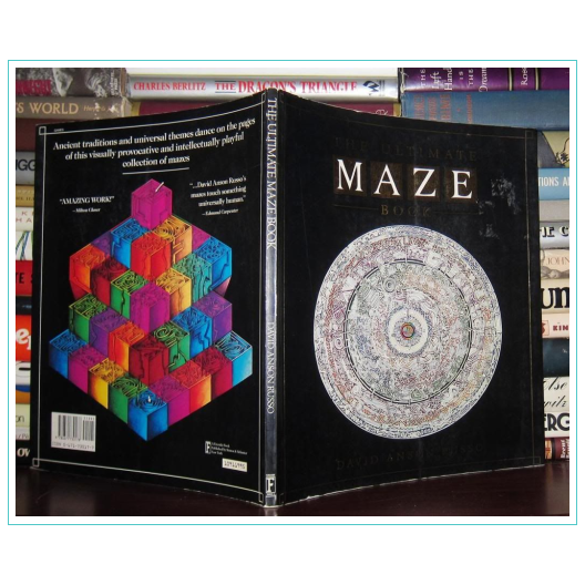 the ultimate maze book