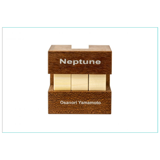 Neptune puzzle