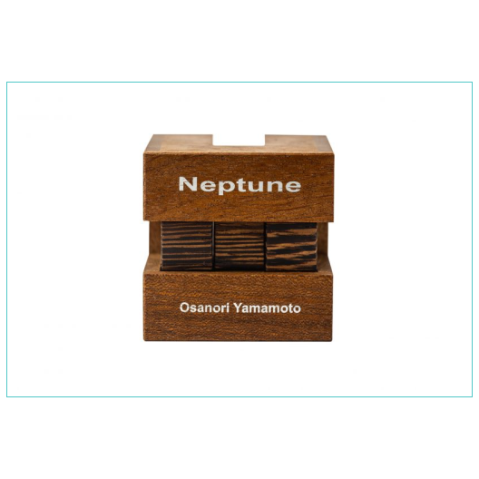Neptune puzzle