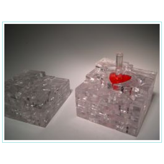 Heart in a Cube